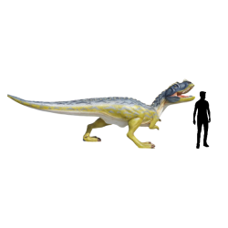 Ceratozaur C555b-h210x550x160cm